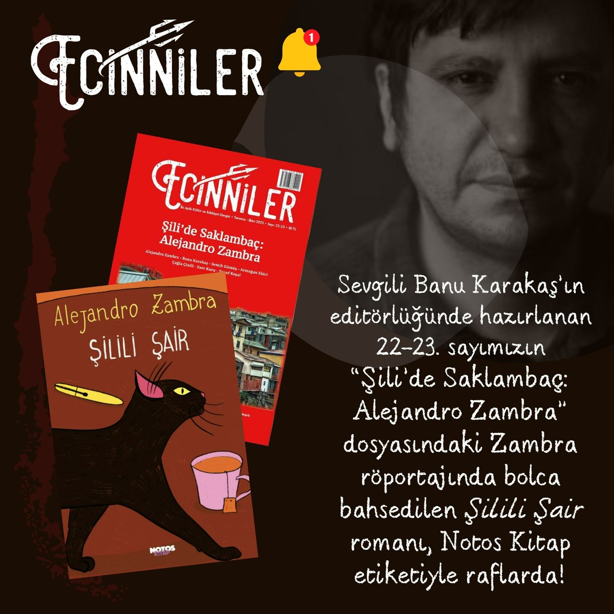 Ecinniler Dergi tweet media