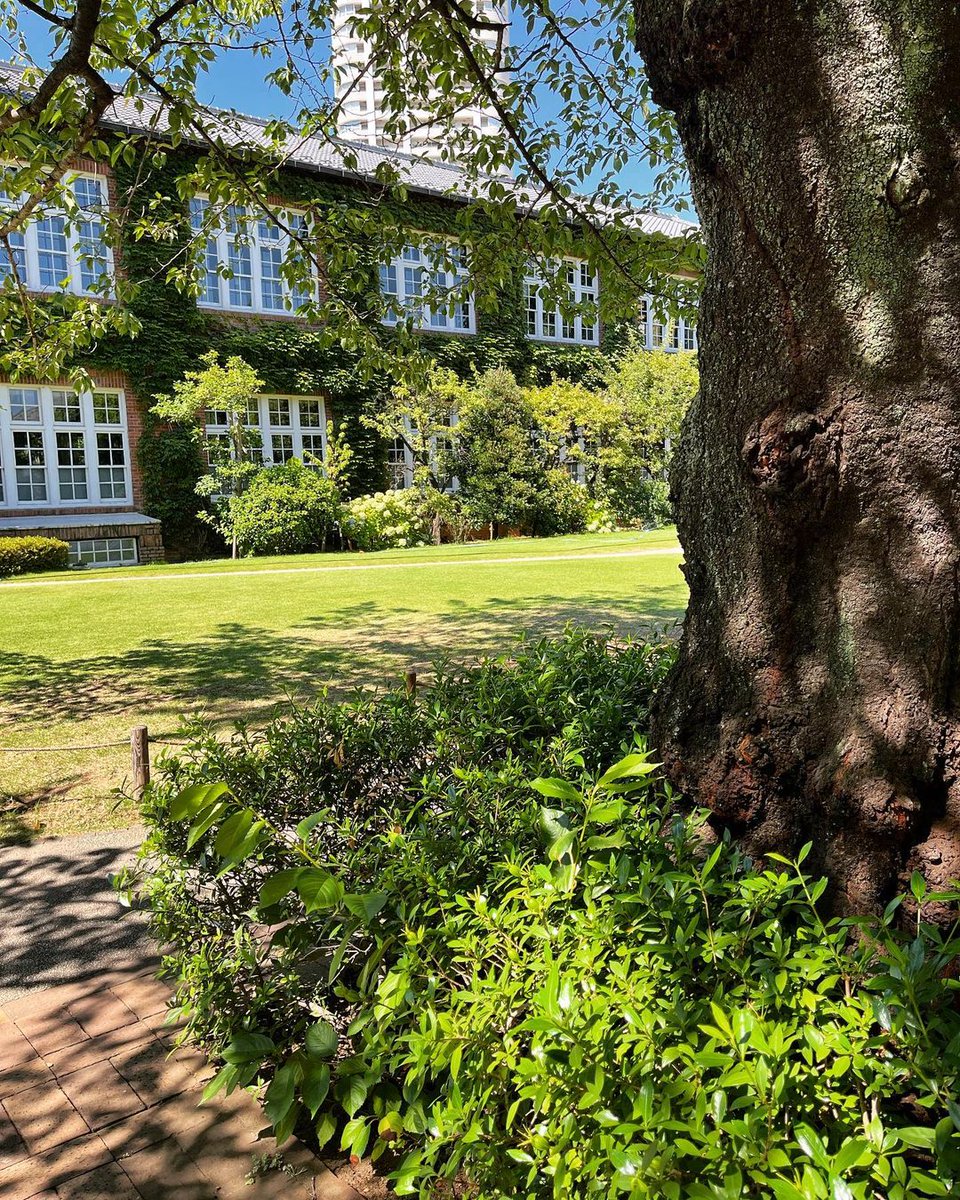 steteason93403's tweet image. long weekend mini diary