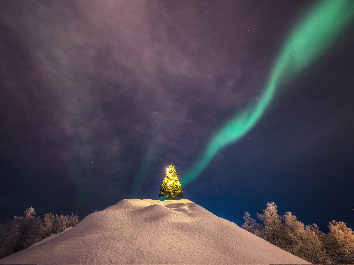 Mia Stålnacke tweet media