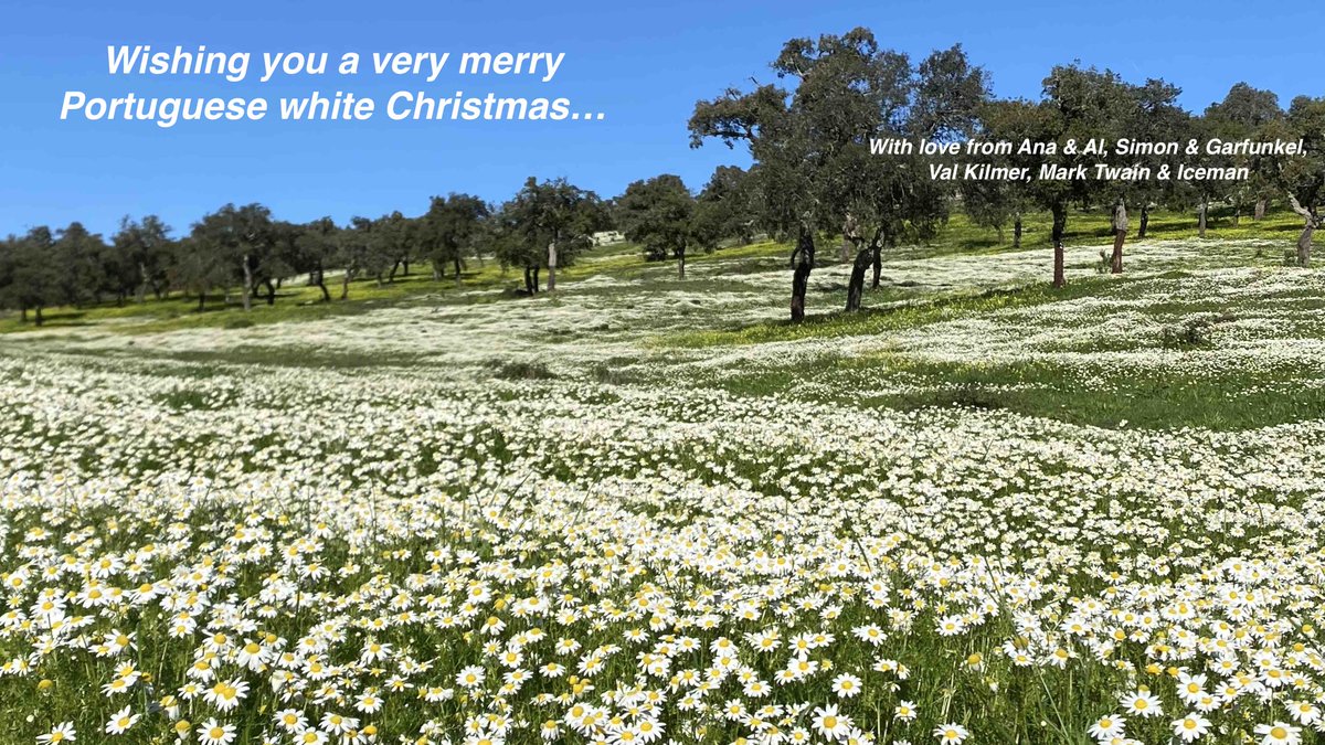 Seasons greetings and Christmas Eve despatch from the Valley of the Stars on the rush to get everything done before the holidays...
The Longest Night, by <a href="/aleithead/">Alastair Leithead</a> open.substack.com/pub/alastairle…