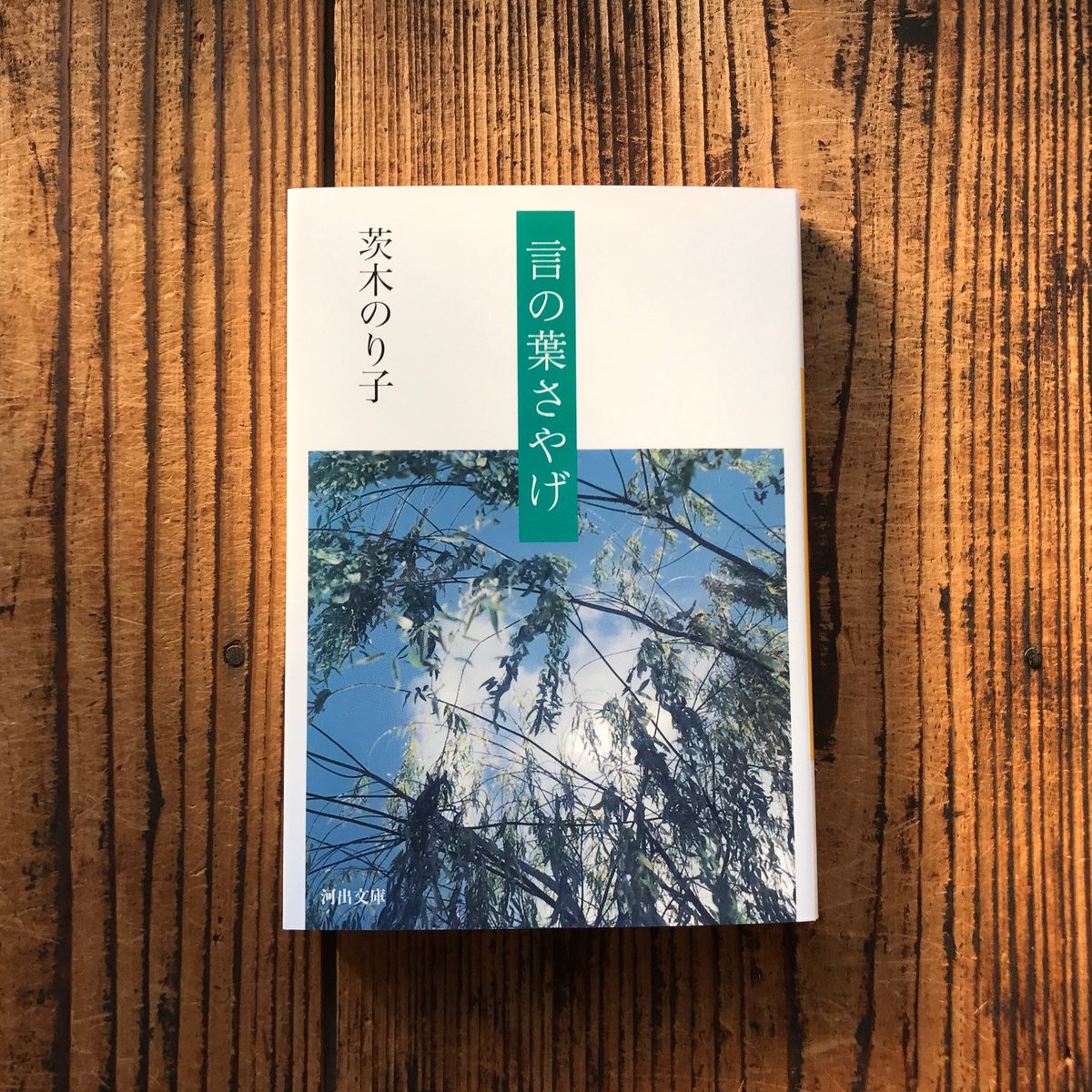 slowbooks's tweet photo. 「私たちはあまりにもなめらかに話しすぎる。ありあわせの、間に合わせの、思考と言語で話しすぎる。自分の心情に密着した過不足のない表現を探そうとしなさすぎる。肝心なところを流行語でおちゃらかしすぎる。→ https://t.co/0c2UI18EOu