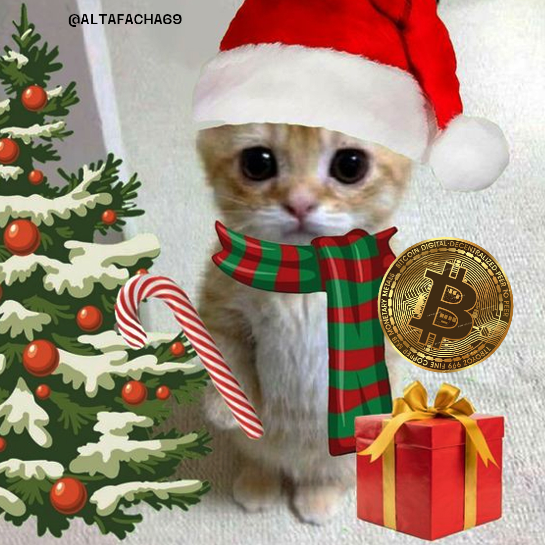 🎄✨GIVEAWAY NAVIDEÑO 🎄🎅✨

10000 Sats para 1 ganador

Para participar da me gusta, Rt y Menciona a 2 amigos

Plus: Dime que te gustaría para navidad.

Feliz Sat-vidad 🤔