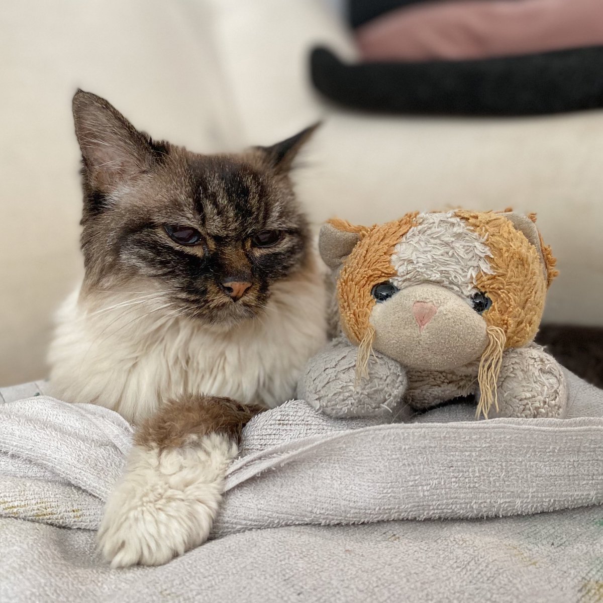 OUGH sorry I , did not post for Age’s ‼️‼️‼️ It was so hot it was to hot,I have been doing this [Flat] 

then I had a Firm Talk with the Weather I said. Stop this, it is to hot. Stop it now. And, it did