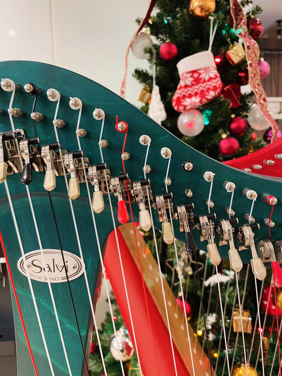 ginzajujiya's tweet photo. ✨✨✨🎅🎄Merry christmas🎄🤶✨✨✨
#クリスマス
#christmas
#xtmas
#harp
#銀座 https://t.co/X1fKyYBtEi