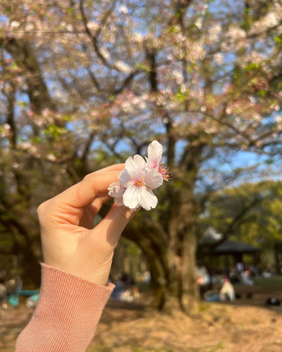 long weekend mini diary