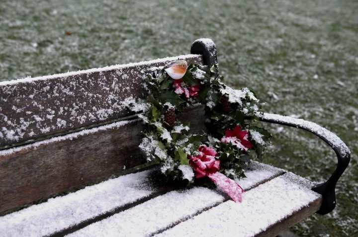 Threadpepper tweet media