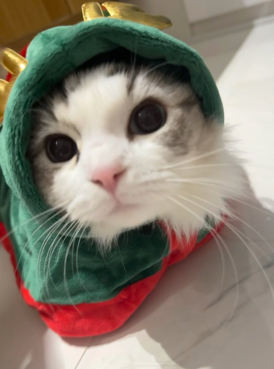 jaezeni's tweet photo. jaemin 💭🎄 https://t.co/wPSGEuduJF