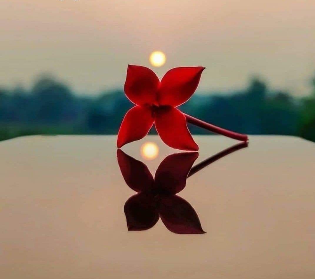 देखते देखते यह भी साल समाप्त होने वाला है।
वक्त की चाल सामान्य है परंतु हम ही धीमे हैं शायद दिनांक देखो तो आंखों के सामने अंधेरा छा जाता है।
समझ नहीं आता ये बहुमूल्य वक्त जाता कहां है? जीवन वर्षों से एक ही जैसा है, कोई बदलाव नहीं,कुछ ही दिन रह गया शेष 2024 लगने में...❤️