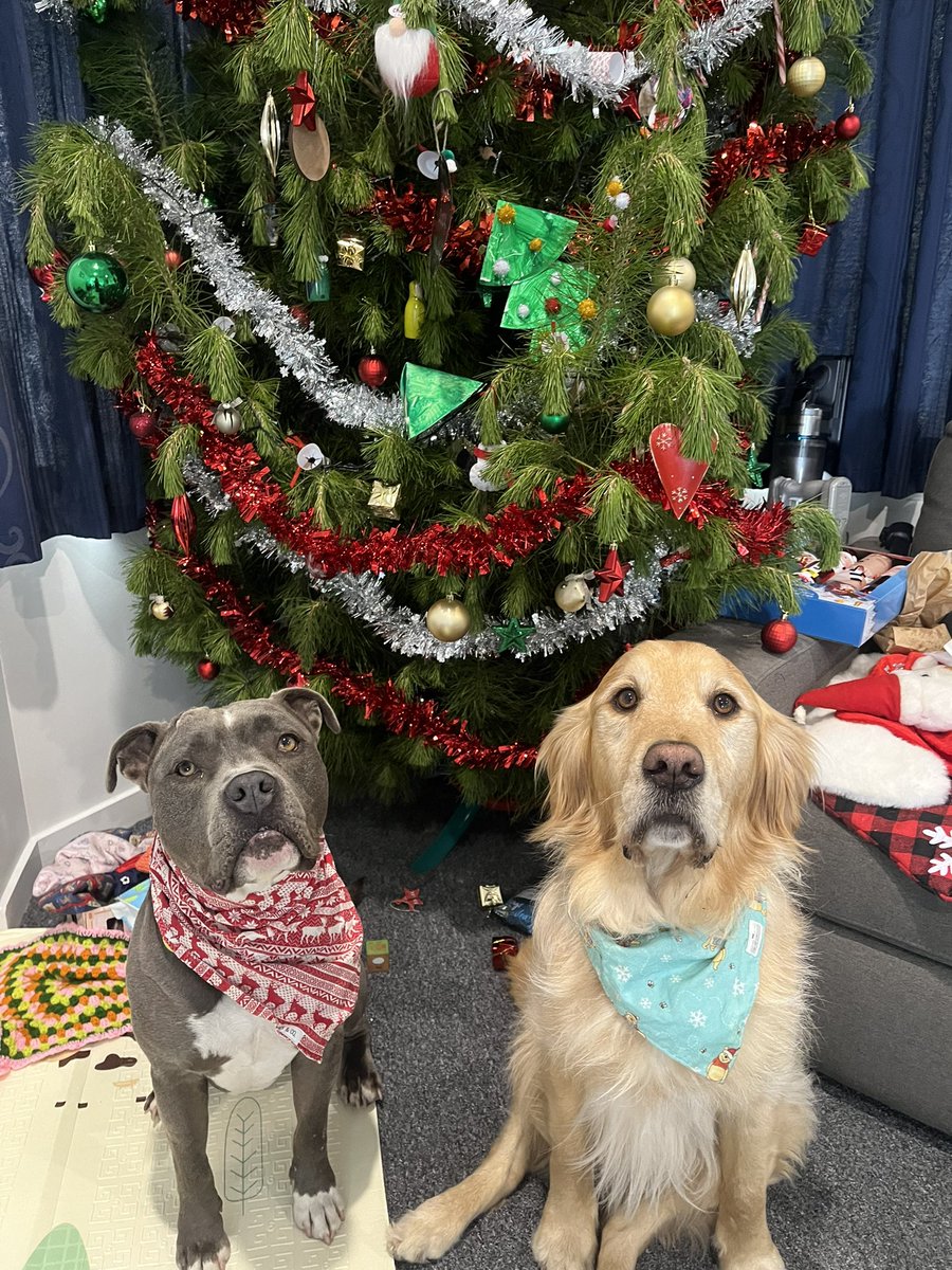 Jess Archer tweet media