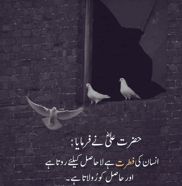 maryammatti93's tweet photo. Beshaq.....❤️❤️❤️ https://t.co/siypKseFqf