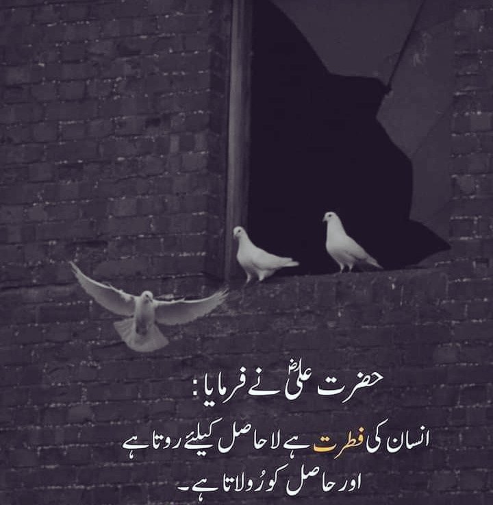 Beshaq.....❤️❤️❤️