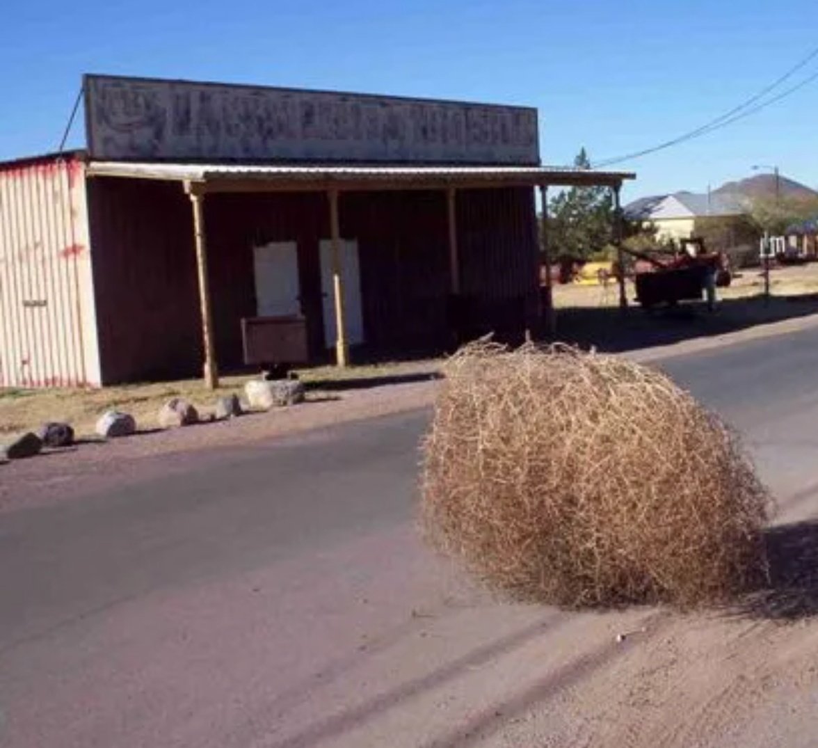 Victor972972's tweet image. Todos hemos visto las imágenes multitudinarias y el fiestón que le montaron en el pueblo de Jéssica para recibirla con un baño de masas por su gran gh. #jessingo24d

#Ghvip24d Mientras tanto en el pueblo de Naochoni para recibir a la ganadora más mueblako de todas las ediciones: