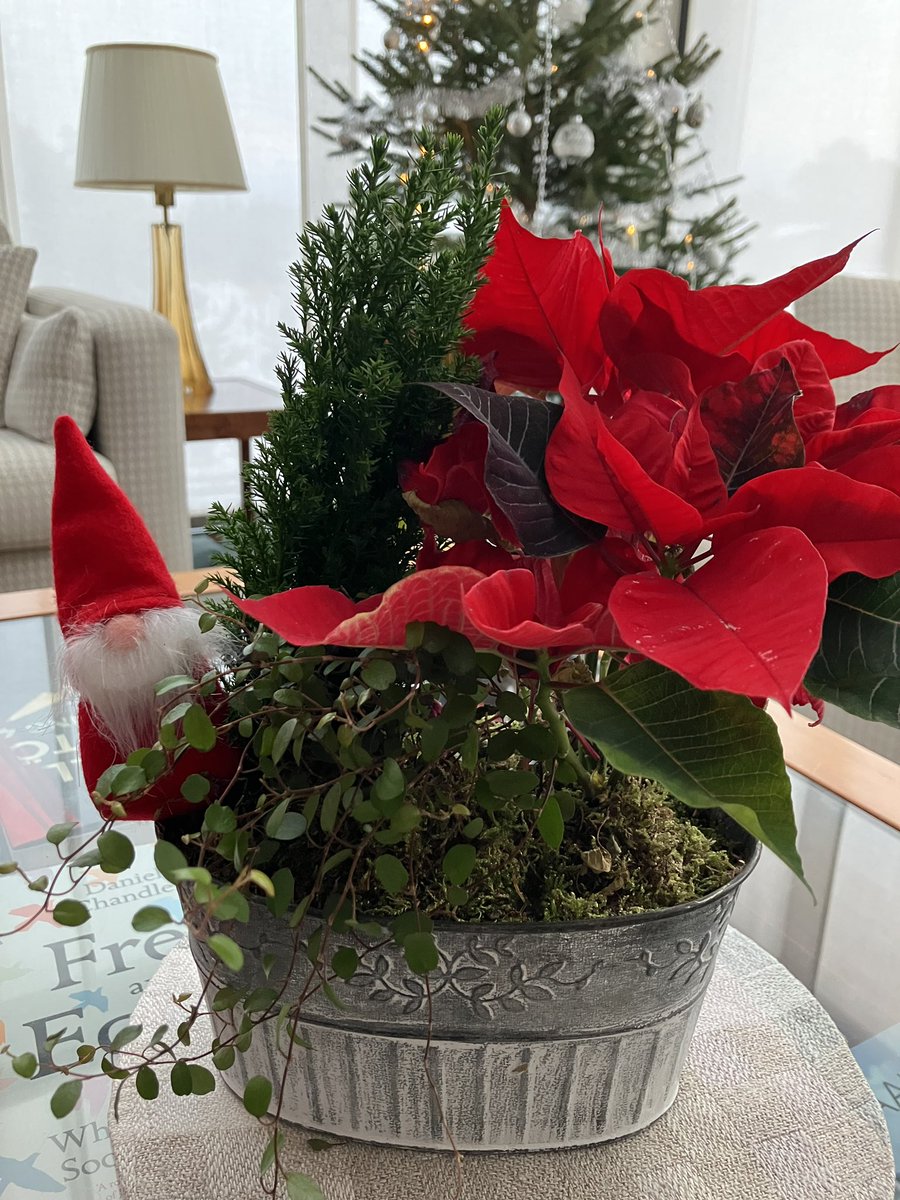ollirehn's tweet photo. Aika hiljentyä rakkaiden, ystävien, perheiden kanssa. Rauhallista joulua ja parempaa vuotta 2024 toivottaen.🎄🇫🇮🇪🇺🇺🇳❤️
Fridful jul. Peaceful Xmas. Season’s Greetings. Meilleurs Vœux. https://t.co/pBVHVdwEYX