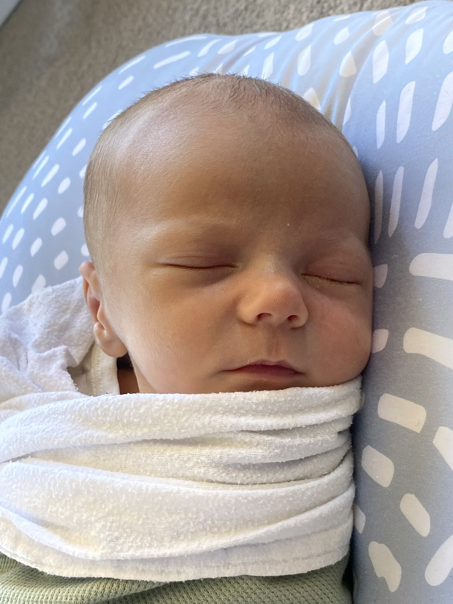 Tom Toose tweet media