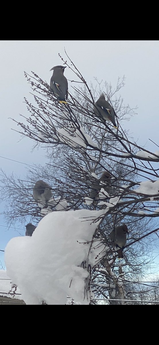 907afa's tweet image. 