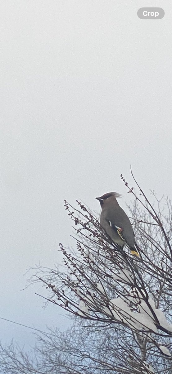 907afa's tweet image. 