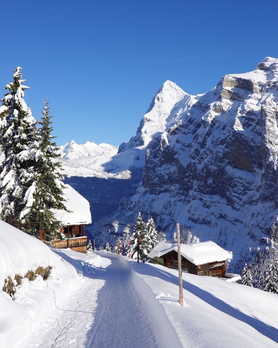 Have a wonderful Christmas wherever you are spending it 🎄🎅🎄

📷 _photography_jj_ (IG)

#kandaharskiclub #Murren #Mürren #jungfrauregion #swissalps #Switzerland #ThePhotoHour #StormHour #SnowHour