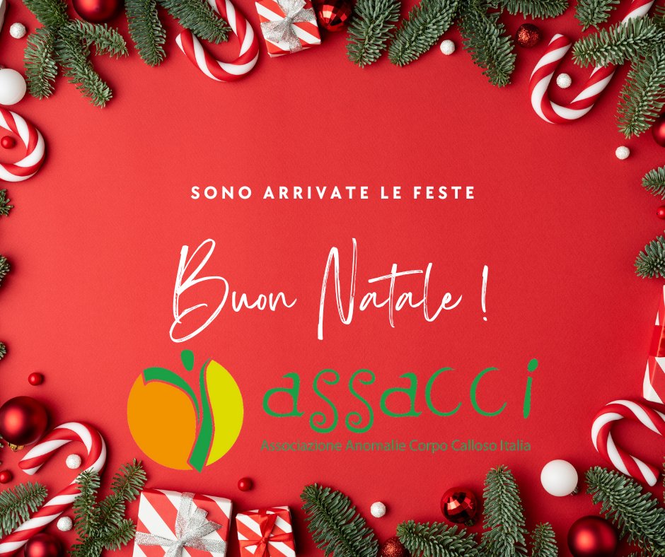 Associazione Assacci (@assacci) on Twitter photo 