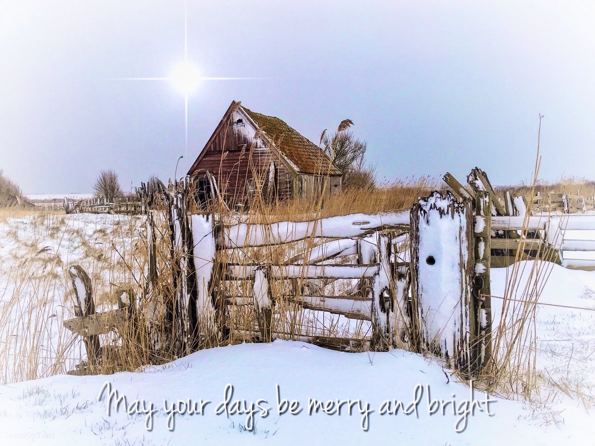 LisetteOpTexel's tweet image. Fijne Kerstdagen lieve TwiXjes. Of je het nu viert of niet. Er komt vast ooit wel weer sneeuw. Of niet. 😅
Houd moed en heb lief x

#hoop #hoopvol #kerstavond #kerst #feestdagen #Christmas #Texel #Netherlands #myPhoto