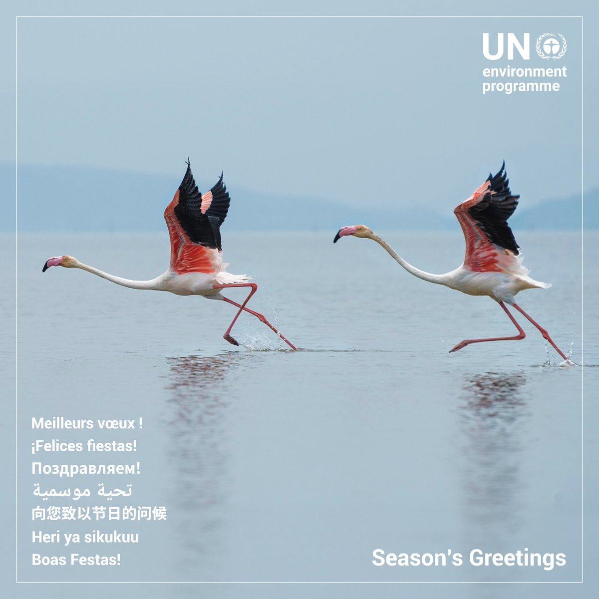 Season’s greetings to all of our followers, colleagues and friends.

Thank you for being on this shared journey to take action on the triple planetary crisis all year long. #HappyHolidays