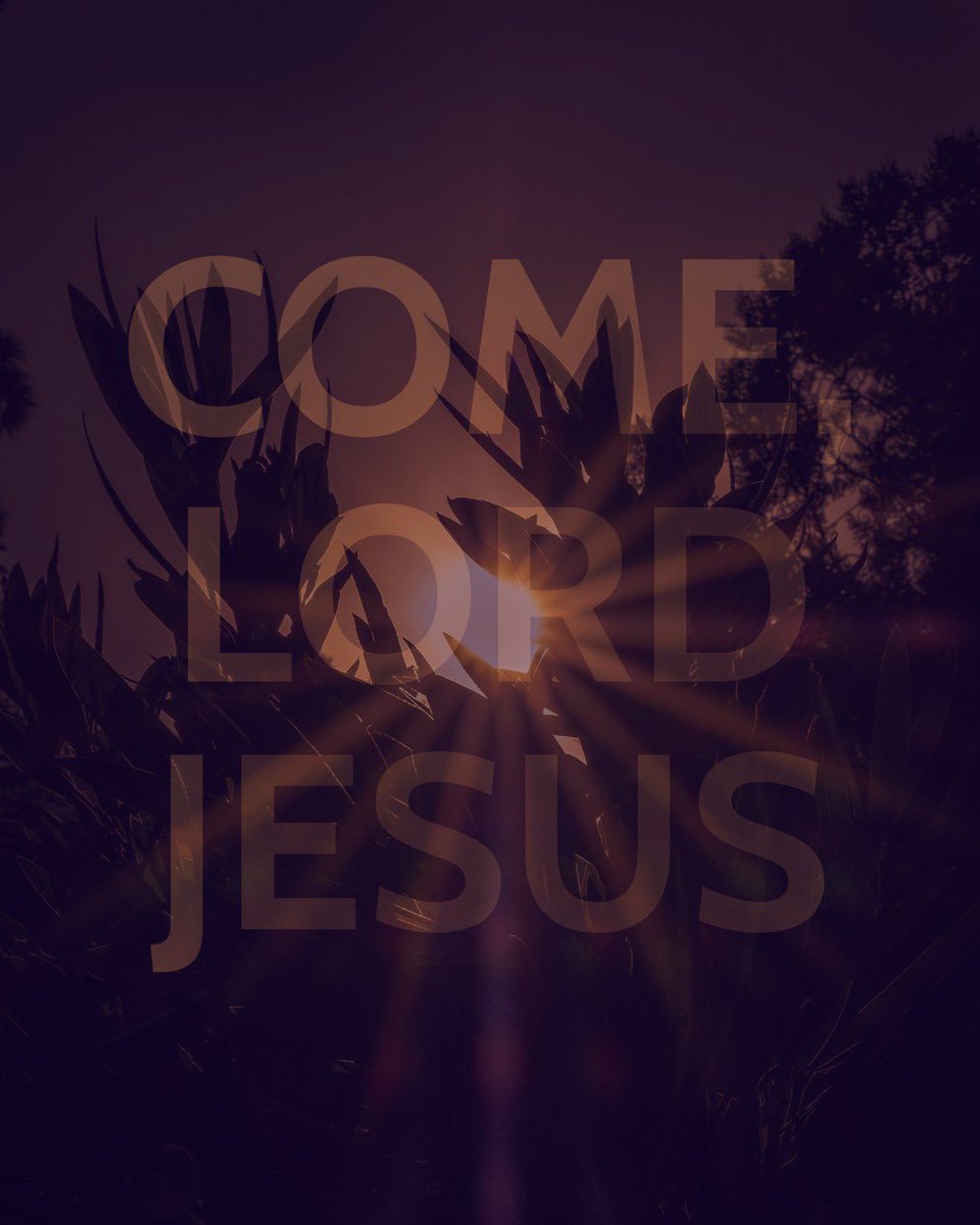 We often wish people a ‘Happy Christmas!’ 

But joy is not quite the same as happiness. Happiness tends to be our response to something good happening. It’s often fleeting. Sometimes our pursuit of it causes us more pain than happiness. And when it’s gone, we can feel flat and