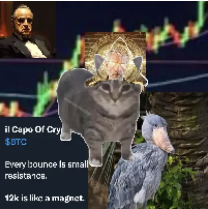 WayneWallace998's tweet photo. @IcedKnife i know no $tin but i'm still hearing $tin https://t.co/ggTClk9oKd