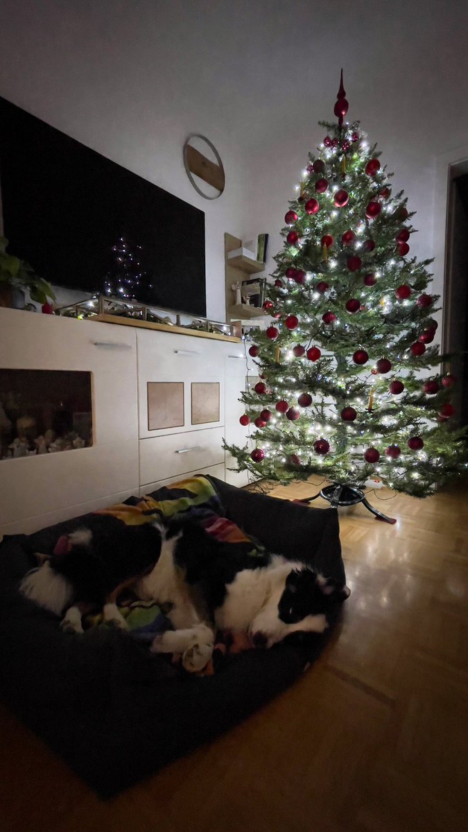 Ni lih navdušena da bi šla z mano u hrib 😅