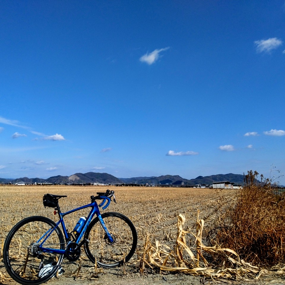 気温3℃のサイクリング
太陽の日射しの暖かさを感じるライドでした。