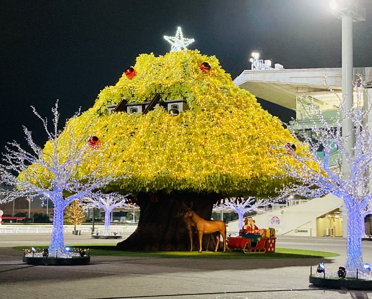 【あと2日！】
Merry Christmas🌲
みなさん、有馬記念はいかがでしたか⁉️
当たった方も外れた方も大井競馬場で大勝負⁉️
当日はトゥインクルレースを楽しみましょう‼️ #GOLF897 #GJTCK #タケ小山 #謎のハスラー