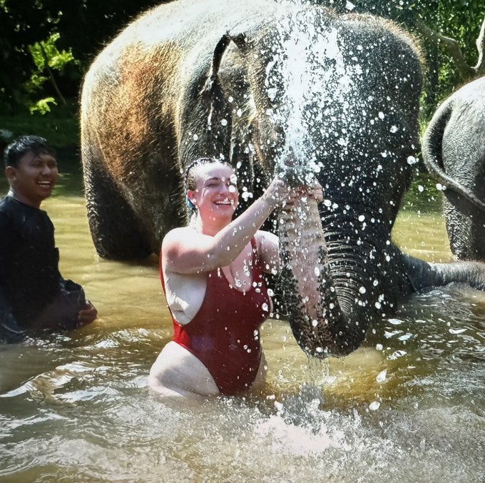 Elephants are such cuties 🐘 https://t.co/WXSdZ0CqxB
