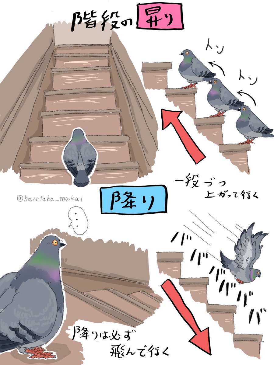 GCGlY6WbQAEzm6N.jpg