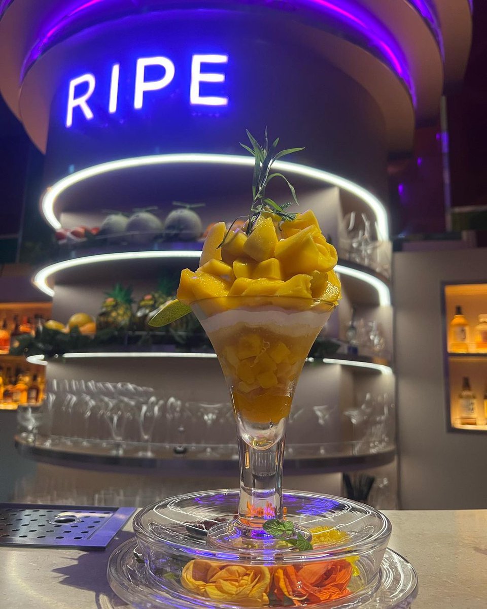 long weekend mini diary