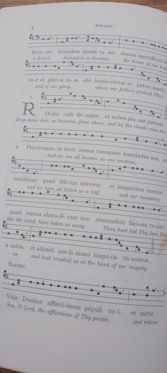 BernadetteEakin's tweet image. Happy 4th Sunday of Advent.
#Advent2023