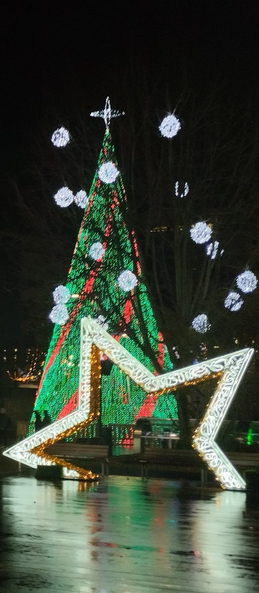 LuzAlFin's tweet photo. Feliz Navidad!!!! https://t.co/WHwgHn8PMu