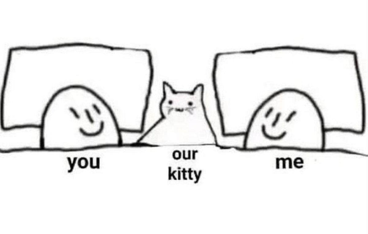 Posts Of Cats (@postsofcats) on Twitter photo 