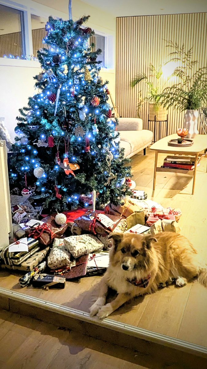 MagnusAsgeirs's tweet photo. Gleðileg jól 🎄 Happy holidays https://t.co/G4YI6UNl6B
