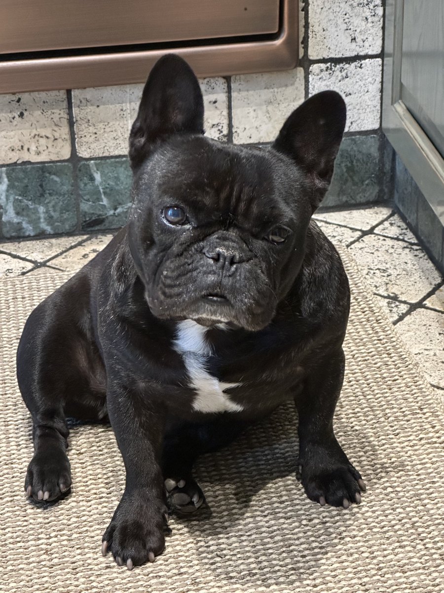 Paolo @ ∞ tweet media