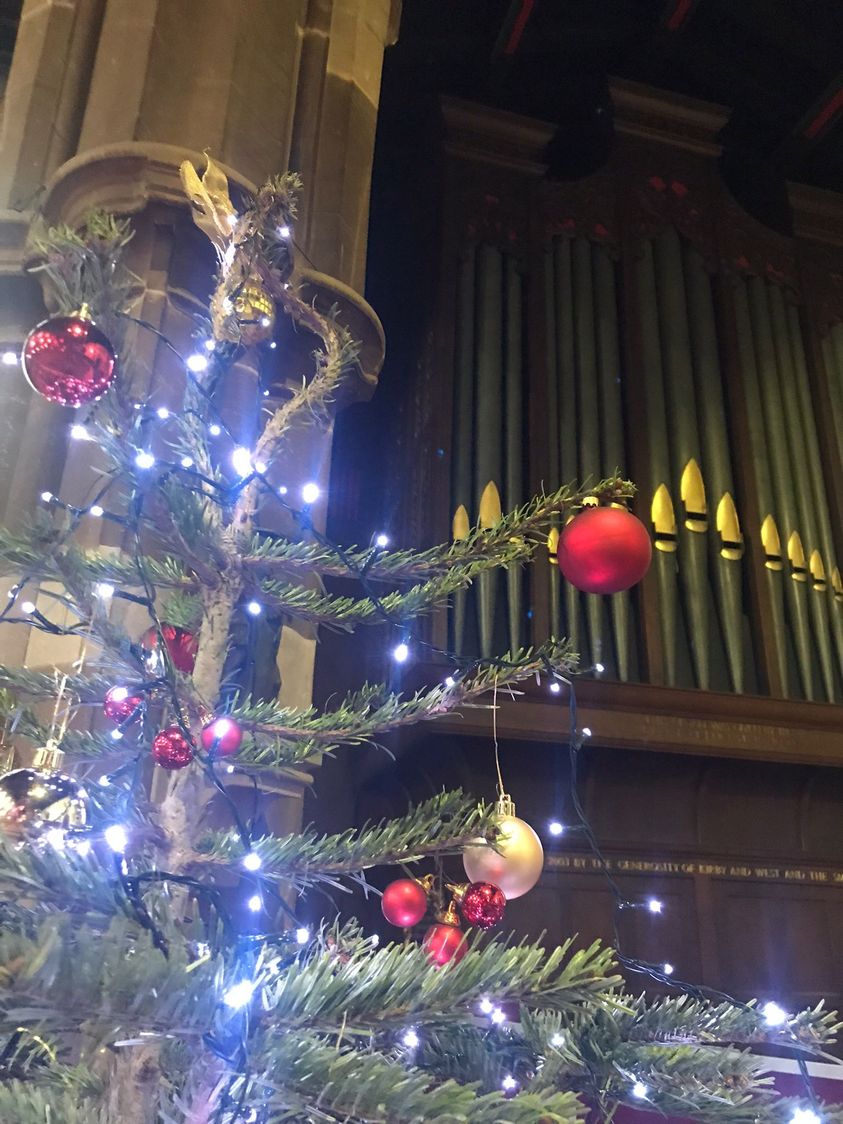 A festive view inside @leicscathedral. We're so lucky that the new accessible renovations mean worshippers can celebrate Christmas 2023 inside the Cathedral as it should be. Check their site for more information on all the festive services.