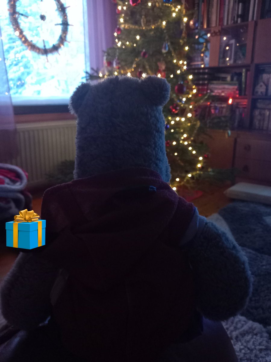 Merry Christmas!🎄🎁✨️ #Christmas #Christmastree #Lapland #ezrathehippo