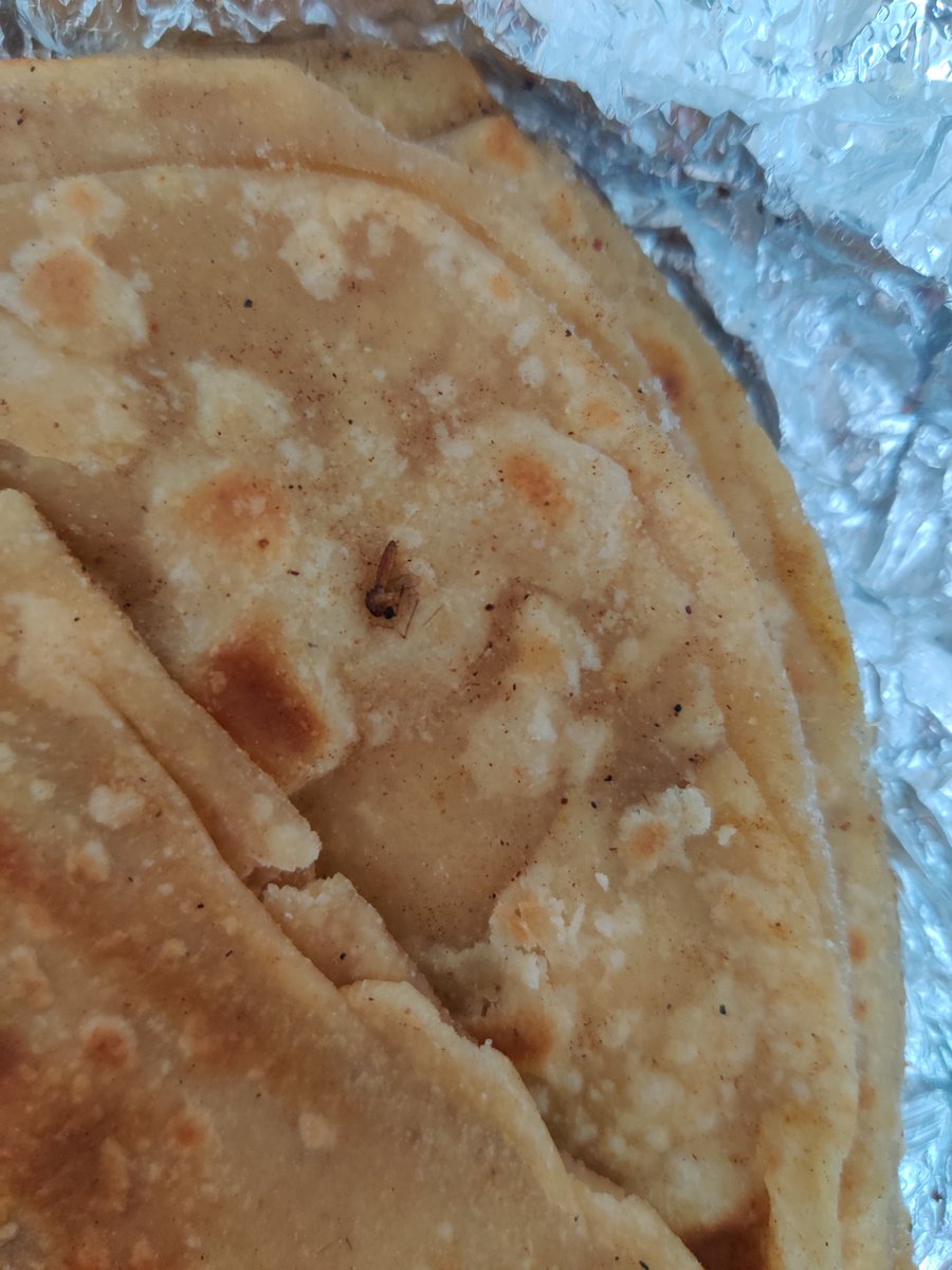 FriendsLifeline's tweet photo. Dead insect in @BOX8_in meals. NEVER trusting you again with my health. @zomatocare do you do any audit or diligence for the food quality even after such instances or any action against it @BangaloreMirror @DDNewslive @ABPNews https://t.co/g6OIuDjcyx