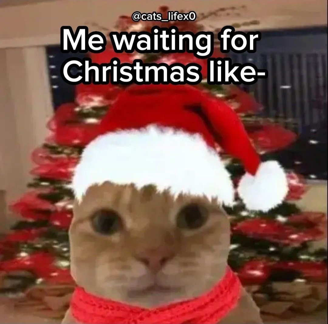 Davini😈 (@fox3tippy) on Twitter photo 