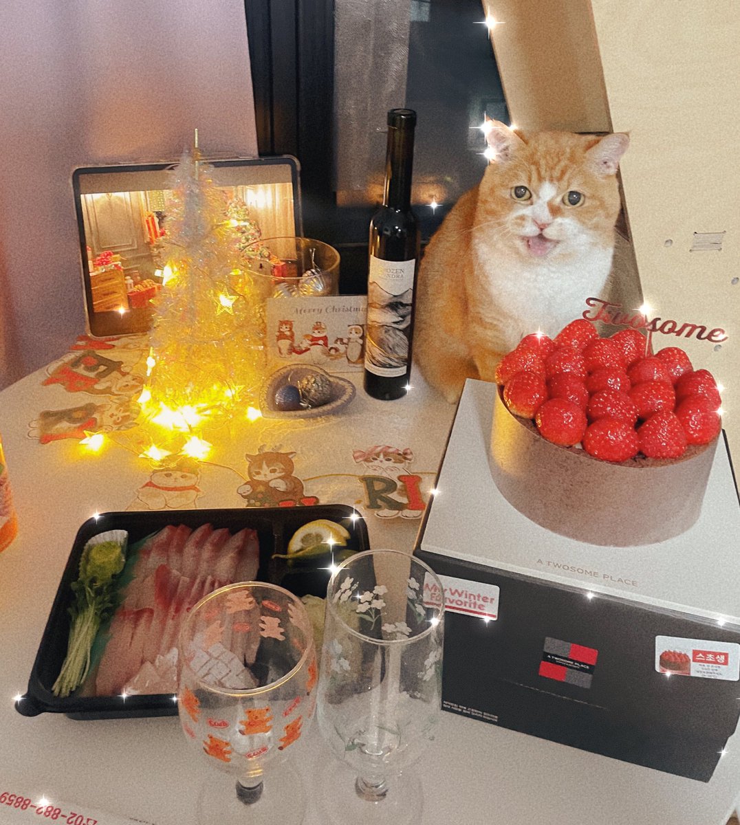 지난 20일은 뽀뽀의 13번째 생일이엇숩니다
뽀뽀야 너도 육학년이니까 후배들에게 모범이되고 중학교도 건강히 진학하자 
메리크리스마스 올해도 사랑해