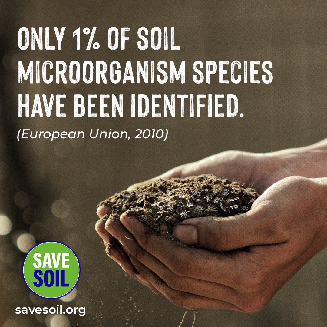 AlavalaJayasri's tweet photo. @timesofindia @Rajesh_rosesh @bhupendrachaube #SaveSoil https://t.co/WQyiv26Mbs