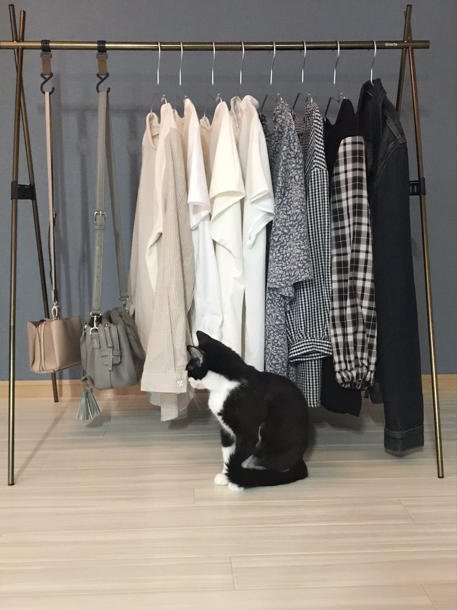 nekochan0917's tweet photo. ハンガーラックの撮影。商品撮影をしてるとカメラの前に写り込んで来るのが日常でした。ちゃんとセンターに座ってポーズを決めてじっと持ってます。
商品撮影は中断して、猫の撮影会が始まります。
#猫との思い出🌈 https://t.co/jA6C1rHMWc