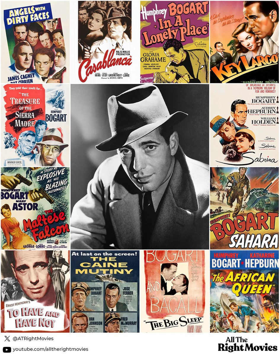 All The Right Movies tweet media