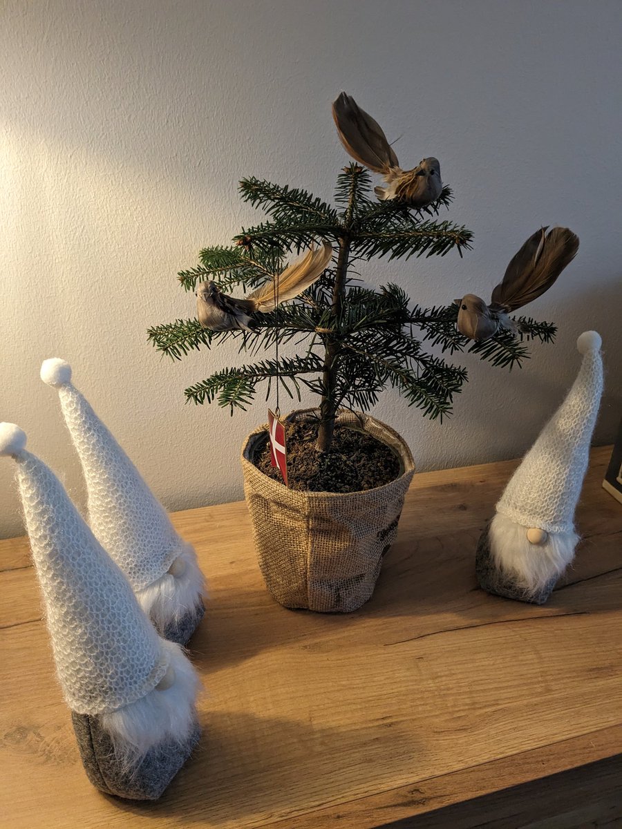 My nisse send Danish good cheer and happy holidays