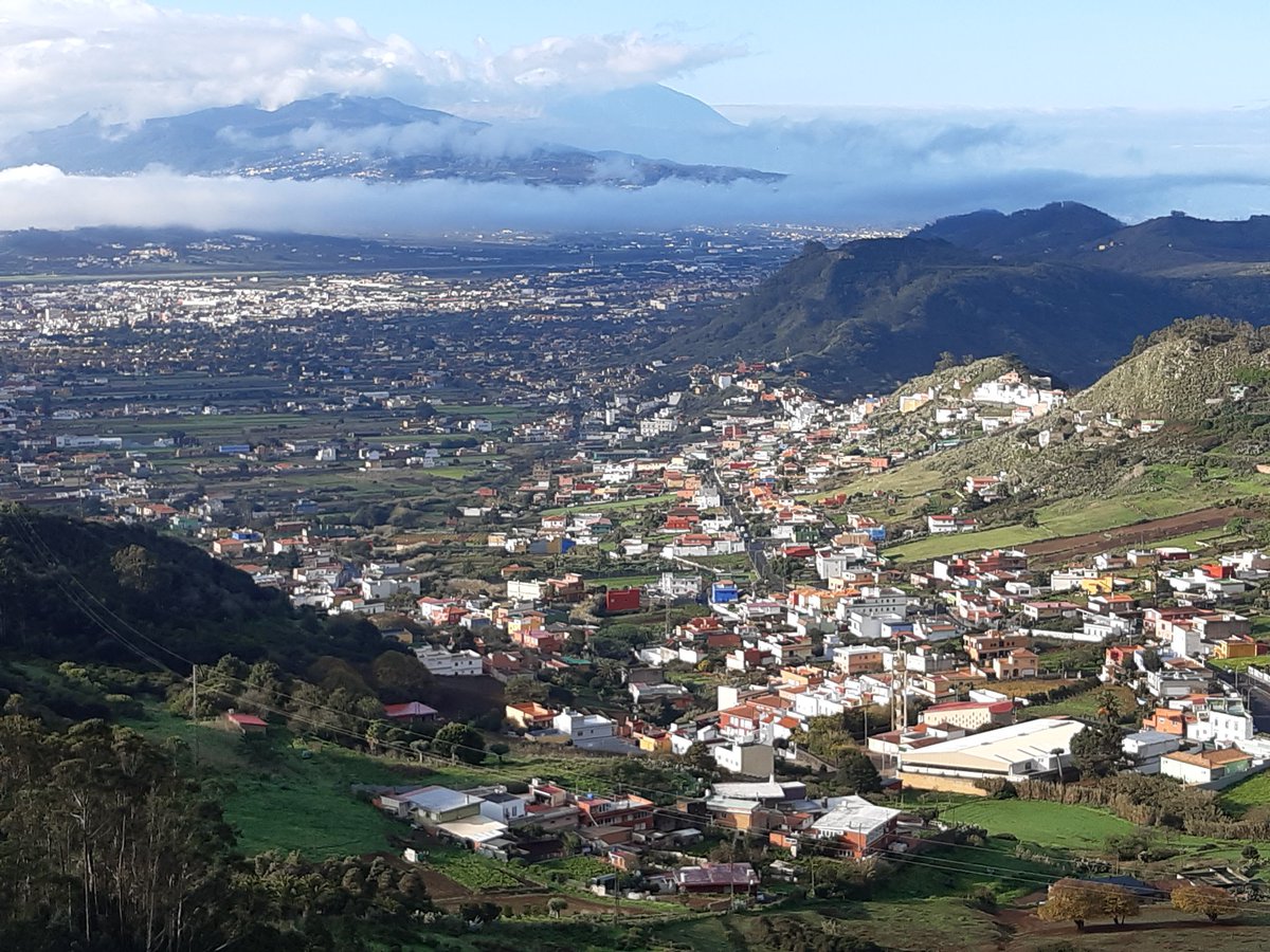 JRHentschke, see also @jrhentschke.bsky.social tweet media