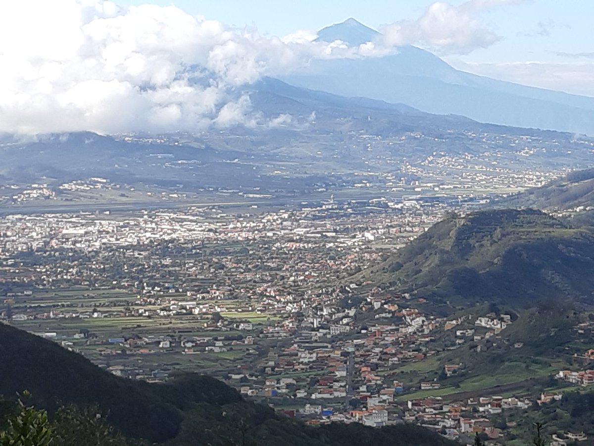 JRHentschke, see also @jrhentschke.bsky.social tweet media