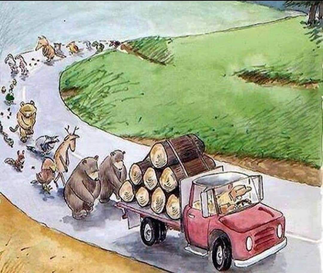 astitvam's tweet photo. Let us make this Christmas Environment friendly.

No cutting of Christmas trees 
No plastic trees
No gifts wrapped in boxes
No lights. (Instead of decorating with light donate bulb and cables to poor)
No use of candles as it is hazardous to the environment..

Please make it happy to all.