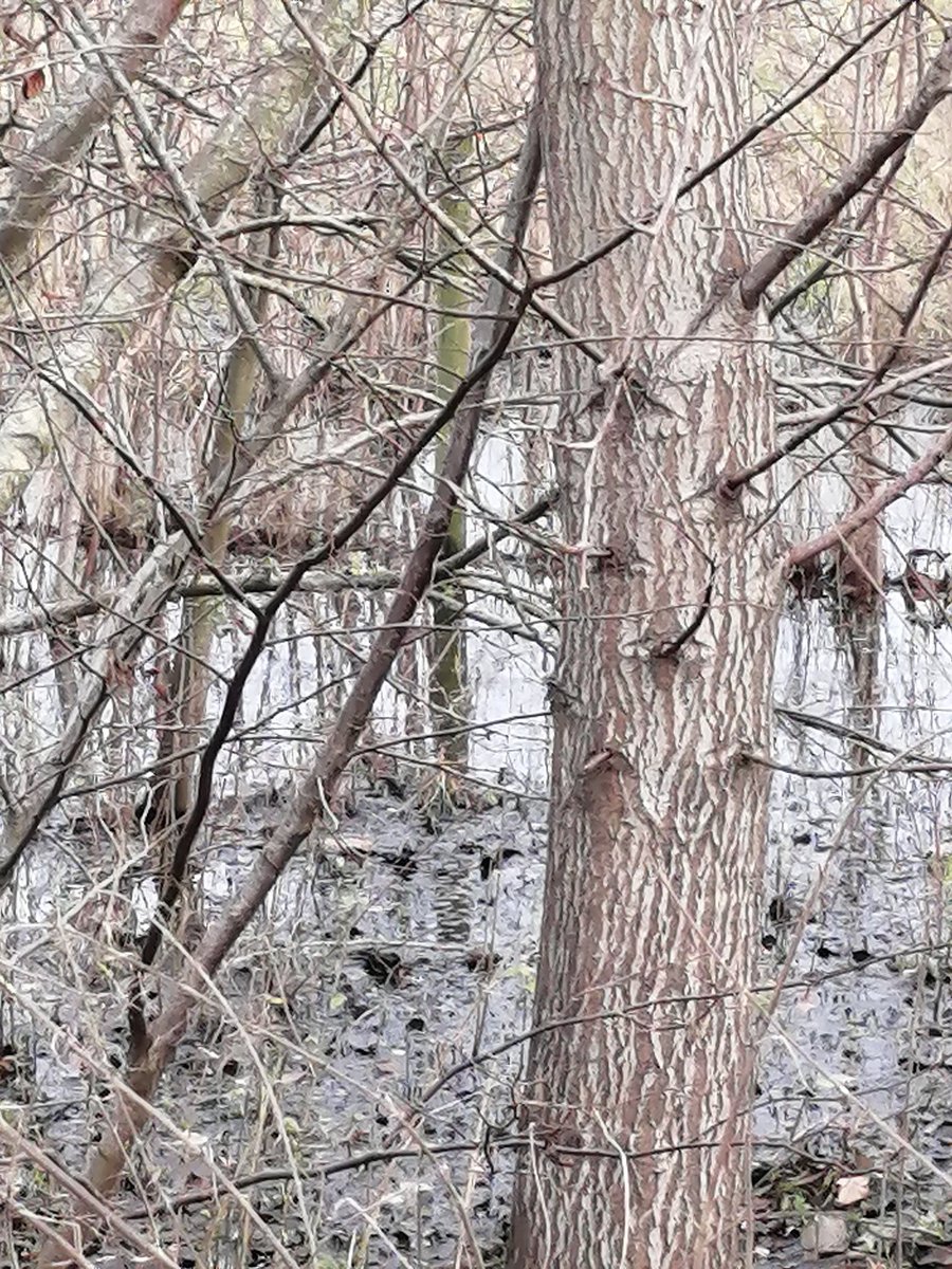 Happy Christmas to all our followers and all our friends. Have a peaceful break. Here's to a better new year. #Everyone